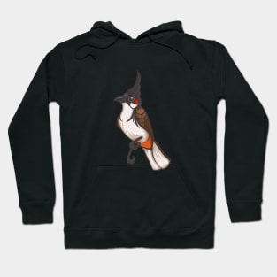 Red-Whiskered Bulbul Hoodie